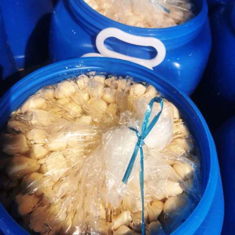 Garlic Cloves In Brine