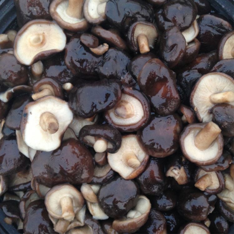 Shiitake Mushroom In Brine