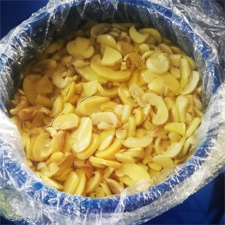 Sliced Mushroom Agaricus In Conserve (5)